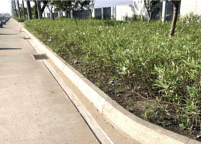 University Avenue Project ,Smart District Project & Ponnami Project(STEC)