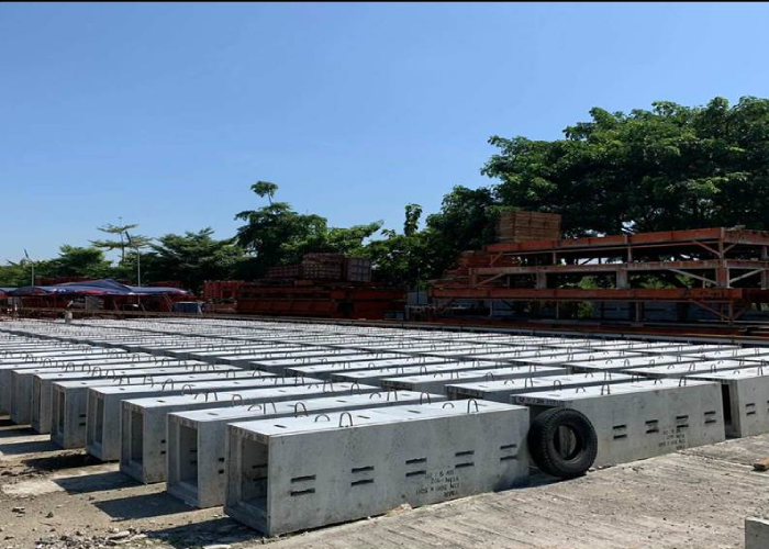 YMR  CP-101 Project  (Fujita)